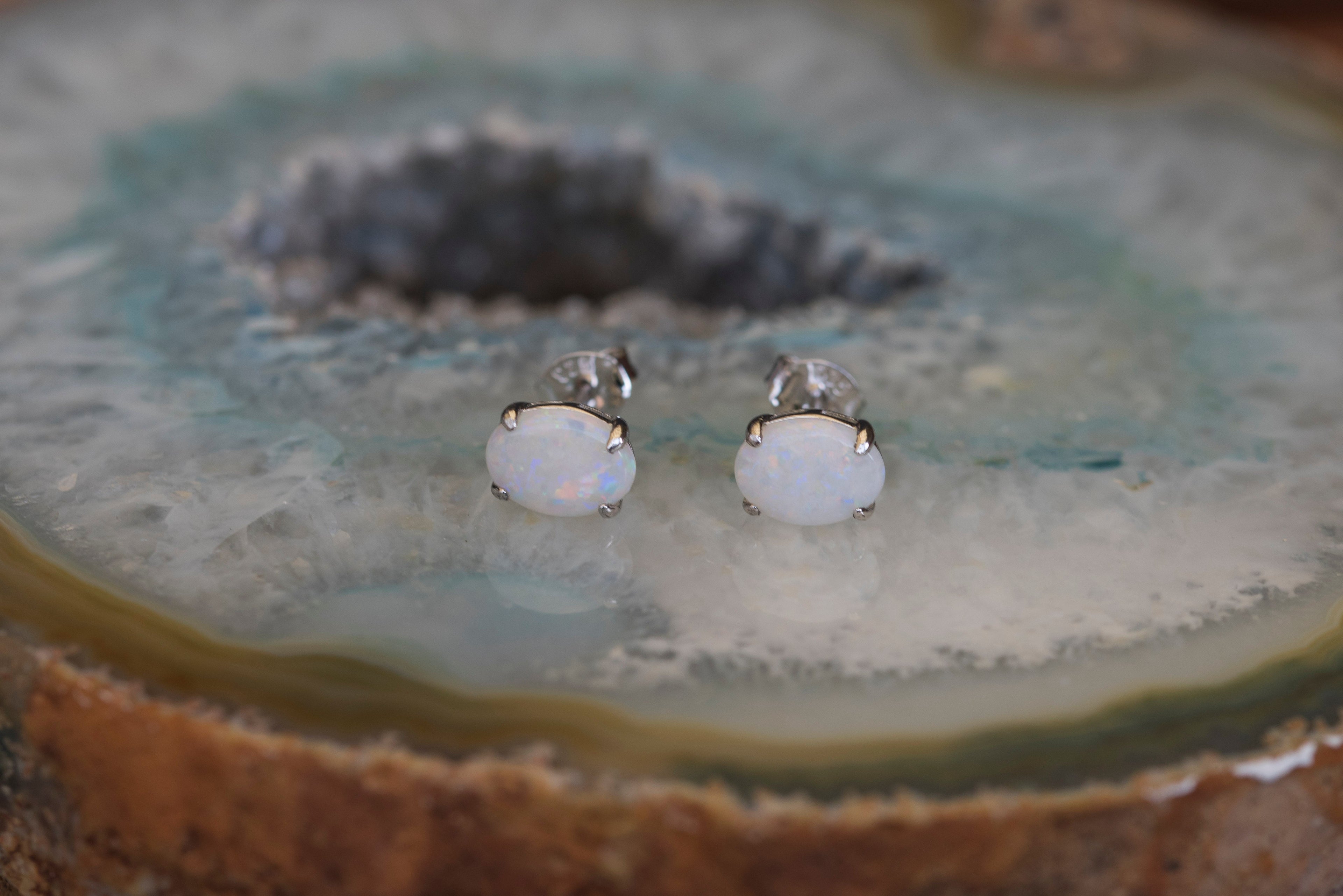 Australian Opal - Multi Color Fire Opal Earrings - Authentic Australian Solid White Opal Earrings in Sterling Silver White Gold Plated